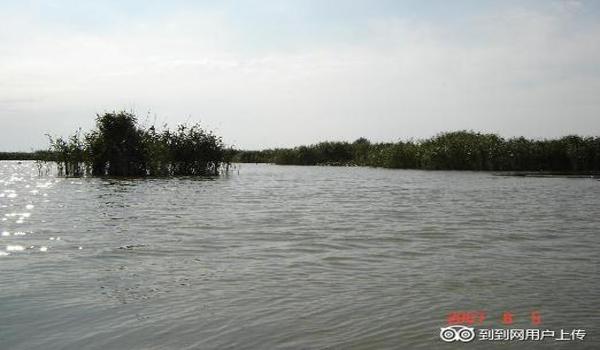 三角洲行动科技网(三角洲行动科技网哪个最好用?) 三角洲行动科技网(三角洲行动科技网哪个最好用?)