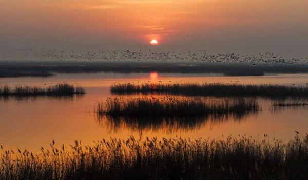 三角洲行动科技购买（给我提供一个三角洲行动科技购买链接）